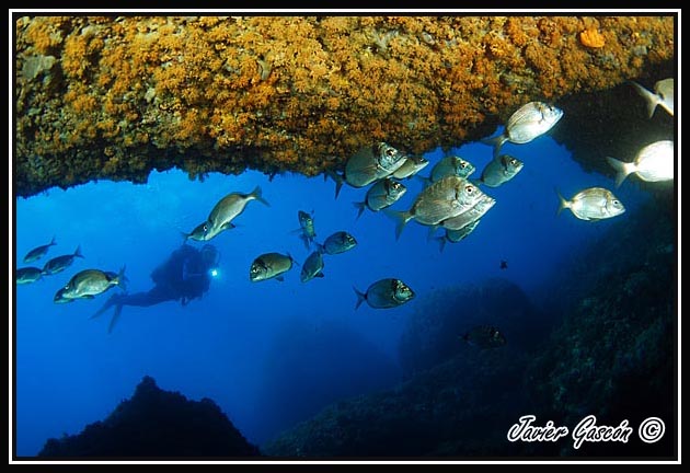 imagen submarina